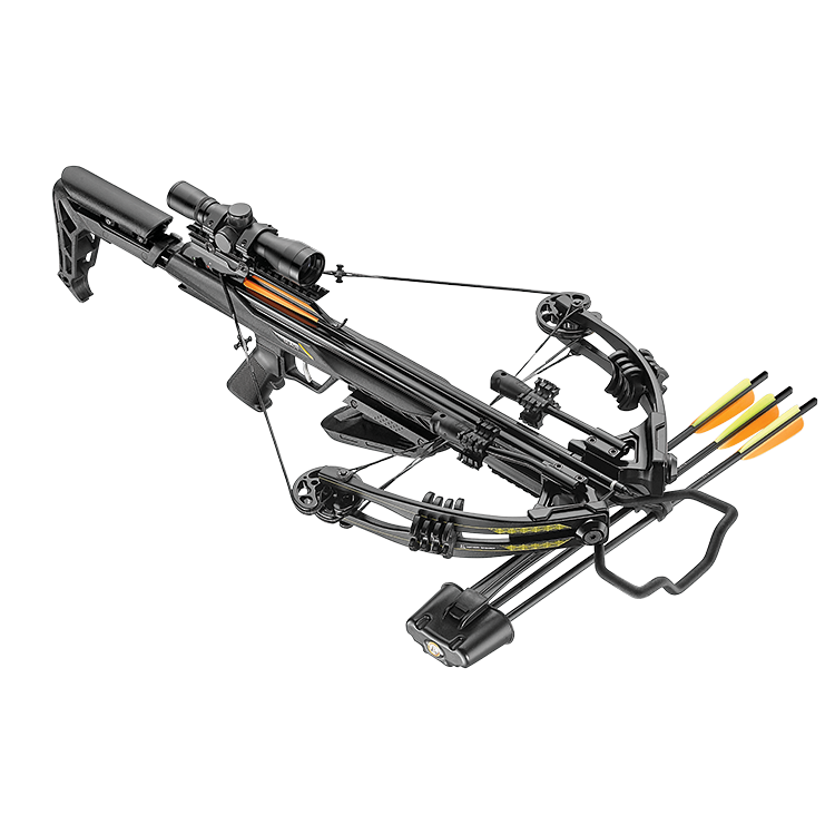 Crossbow archery 2025
