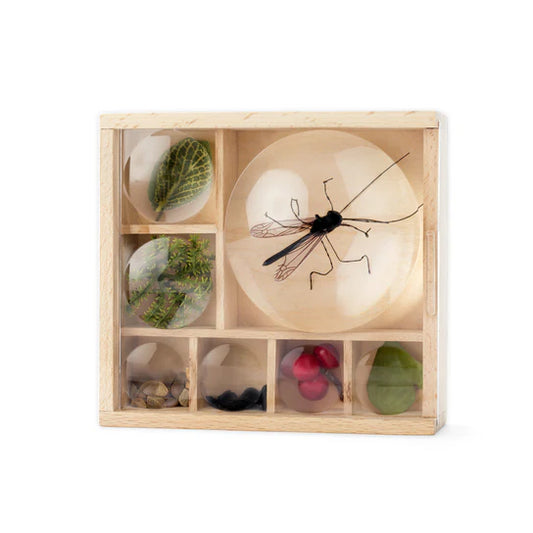 Huckleberry My Little Museum Magnifying Bug Box